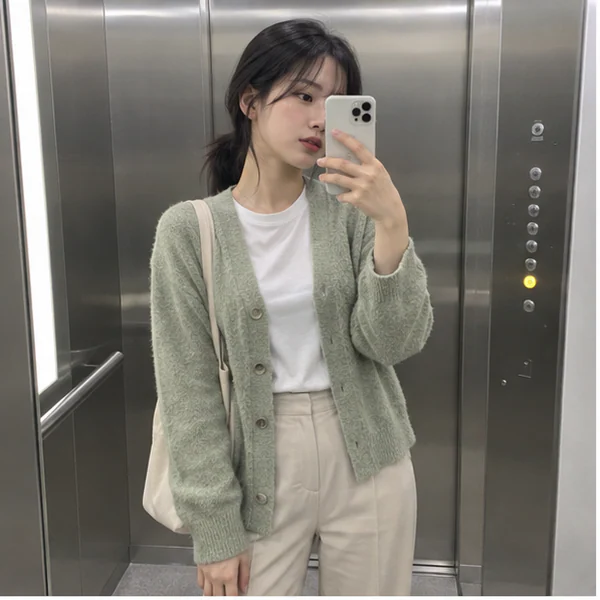 과천 갈현 마리 케어 안내 이미지